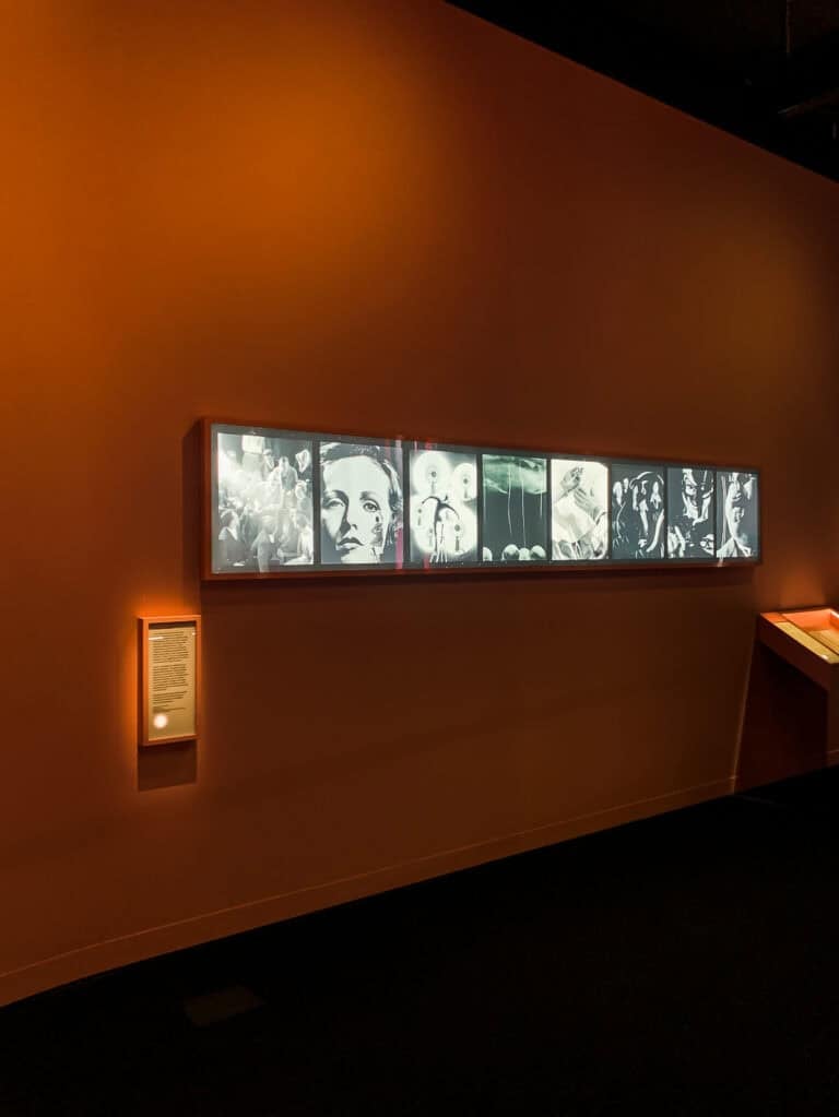 Internal Graphics at ACMI's Goddess exhibition