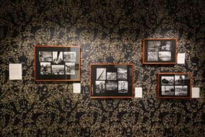 Make Believe; Colourful wallpapers for State library's art show; Make believe